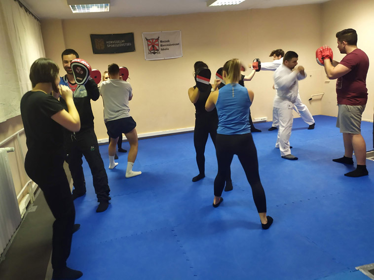 Mecsek Martial Arts School